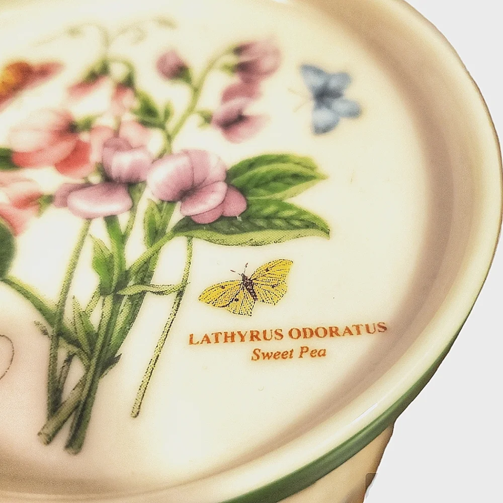 Portmeiron Botanic Garden Sweet Pea Mug & Coaster Set